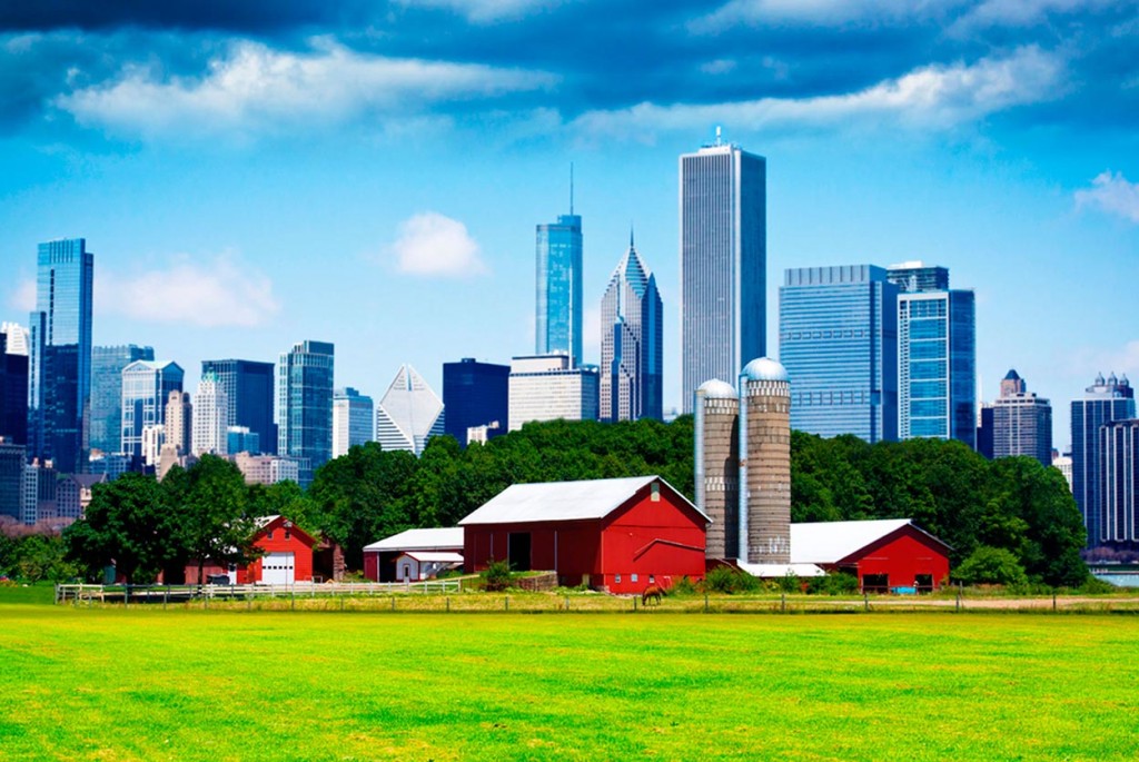 ¿Campo o Ciudad?